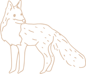 krafttier hildegard bauer rauhnaechte